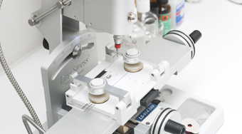 Lorem ipsum dolor sit amet